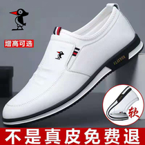 Woodpecker Mens Shoes Autumn Foot Leather Tourist Shoes Aviator casual shoes Joker trend inside leather shoes men