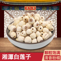 Xiangtan lotus seeds to core skin fresh farmhouse super dry goods 500g bulk inch coreless three Lotus grinding white lotus seeds
