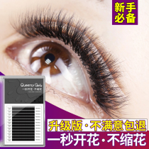 0 05 05 05 second flowering unnecking mountain tea flower dense and automatic magnetic flowering memascara planting eyelash