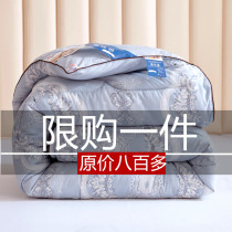 Full cotton silk quilt 100 mulberry silk winter quilted by double air conditioning by thin quilt and summer cool by Zhengzong