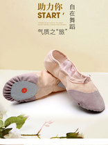 Adult cats claw shoes two-piece soles professional ballet shoes soft shoes canvas noodle practice shoes satin soft shoes