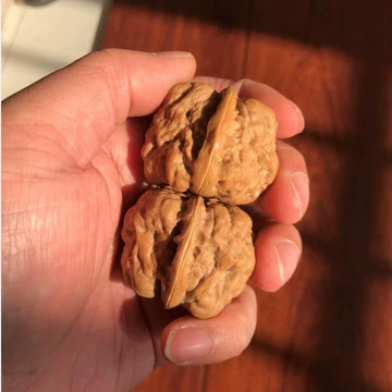 三角蛙-三角蛙促销价格、三角蛙品牌- 淘宝