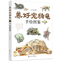 Keep a good pet turtle hand drawing