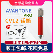 American Avantone CV-12CV12 large diaphragm condenser microphone Computer mobile phone live recording microphone