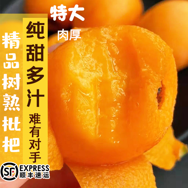 ビワの新鮮な果物純粋な甘い孟子ビワ雲南省長虹特級ピパ特大果実5ポンドの季節にすぐに選べるギフトボックス