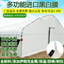 Imported thickened anti-aging black and white film breeding greenhouse chicken and duck plastic film Sunscreen heat insulation reflective film Insulation mushroom