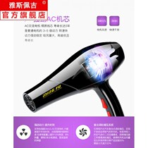 Hair dryer high-power 2000W household hair salon 3000W dormitory does not hurt chills and hot air blowing tube net red model