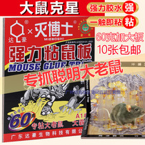 Dahao A1 big overlord strong sticky mouse board German paste mouse glue mouse catcher artifact home big mouse 60g glue