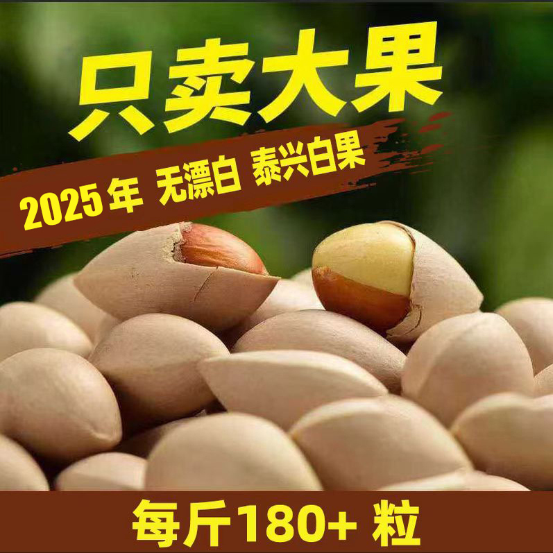 泰兴白果!你不能够错过的养生佳品