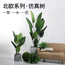 Nordic simulation green plant potted olive tree Turtle leaf traveler banana ins wind interior decoration Floor-to-ceiling plant ornaments