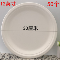 One-time paper plate kindergarten handmade DIY painting painting cake barbecue plate paper dish large paper plate 12 inch