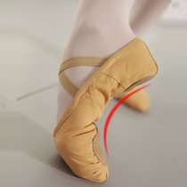 Dance shoes female soft bottom adult camel color training shoes mens art Test classical ballet shoes children red canvas cat claw shoes