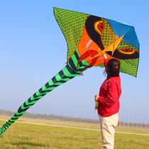Weifang Kite Adults Large Upscale Easy Flying Large Snake Green Snake 2022 New Adults Special Triangle Long Tail Kite