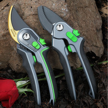 Garden scissors pruning shears branch tree branch pruning knife flower plant pruning fruit tree flower Mulberry