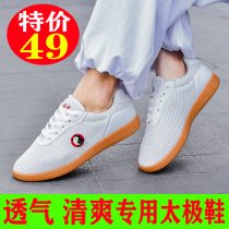 Ling Wu Chenjiagou Taiji shoes Womens soft ox soles martial arts shoes summer mesh breathable practice shoes mens Taijiquan shoes