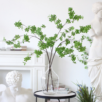 Sicilian simulation plant Japanese Bell Net Red Horse drunk Wood Green Leaf clothing store Photo home landing decoration