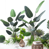 Sicilian simulation green plant large plant potted Club Shop restaurant soft decoration landscape landscape partition