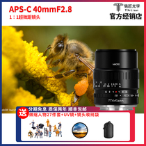 Inscription OPTICAL 40mm f2 8 1: 1 times microlens Insect Flowers Dentistry applicable Sony e Fuji M43