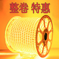 led light with a roll of 100 meters 2835 living room ceiling outdoor waterproof landscape lighting project Golden Yellow Blue warm white light