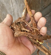 Chinese herbal medicine Shanxi wild skullcap 500 grams hit the skin One skullcap Pure wild skullcap hollow skullcap 1 kg