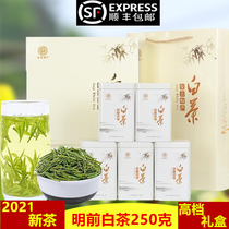 2021 Anji White Tea New Tea Alpine Rare Green Tea Mingchen Yurui Origin Boutique Tea Half Jin Gift Boxes