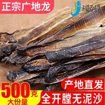 The whole piece of Guangxi new Chinese herbal medicine Guangdi Dragon dry earthworm white neck full open no mud 500g grinding powder