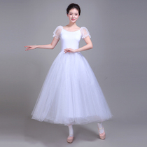 Ballet skirt adult adult female exercise table performance chorus dress dress foam sleeve long white swan professional