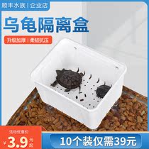 Turtle isolation box black and white hair separation box fish tank turtle tank isolation box turtle special separation box hatching box