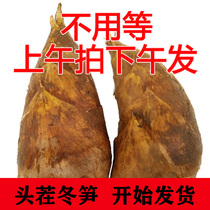 Agricultural products now dig fresh winter bamboo shoots bamboo shoots small winter bamboo shoots Jiangxi wild winter bamboo shoots