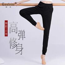 Dance pants female adult loose shape pants closed radish pants black wide legs spring and winter trousers thin practice pants