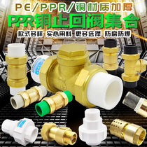 PPR check valve brass horizontal vertical check valve check valve check valve 20 4 water distribution pipe fittings