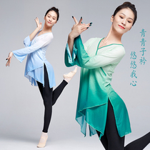 Classical dance body rhyme gauze dress female adult dance practice uniform net gauze Horn long sleeve Chinese dance suit top