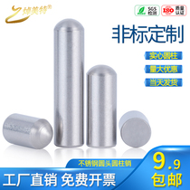 Positioning pin Stainless steel pin Round head Cylindrical pin Solid pin Fixing pin M2 5M2 6M2 7M2 8M2 9