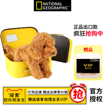 National Geographic Plush Toy Girl Owner Recommends cute pet cat and dog Tanabata birthday gift doll gift doll