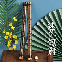 The Lingyin Beginner Playing Starter Zero Foundation Dongxiao Ancient Wind Portable Purple Bamboo section Six-hole Xiao musical instrument Mini short flute
