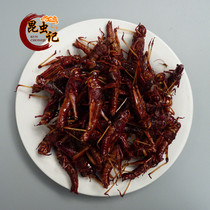 Female grasshopper migratory locust grasshopper with seeds wings and seeds female grasshopper 100g