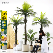 Coconut tree simulation green plant high-end light luxury loose tail sunflower indoor fake plant large bionic needle sunflower potted decoration