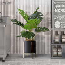 Roman mother simulation plant monstera potted plant light luxury style indoor floor-to-ceiling window decoration fake green plant decoration