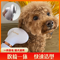 Pet electric hair dryer bath artifact blowing hair drying quick-drying mute dog cat with blow-dry pulling one comb