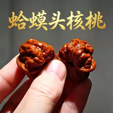 蛤蟆头精配对核桃-蛤蟆头精配对核桃促销价格、蛤蟆头精配对核桃品牌- 淘宝