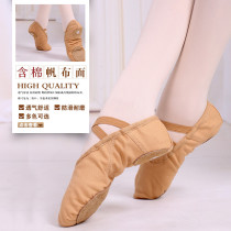 Dance shoes Womens soft bottom practice Shoes ballet dance mens cat claw childrens adult camel winter Chinese professional dance shoes
