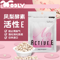 Japanese Wooly pineapple filial piety 60 imported rabbit ChinChin guinea pig hamster hairy food