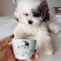 Good clay porcelain exclusive pet customization glaze hand-painted cup bowl pot painting can be painted one by one