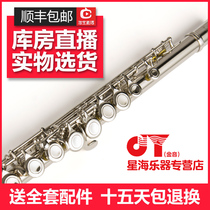 Golden tone flute 16 closed hole silver plated flute C tune JYFL-E150S flute instrument