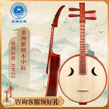 中国　中阮 乐海中阮乐器DWZ1 DWZ2 DWZ3 DWZ4徐阳阮族中阮钢品专业演奏