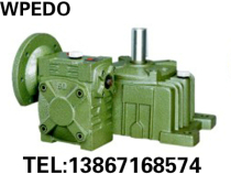 Factory direct sales WPEDO WPEDX100-155#two-stage worm gear reducer reducer gearbox