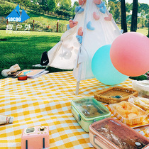 Fun outdoor picnic mat spring outing moisture-proof mat outdoor portable waterproof grass picnic mat outing thickened ins Wind