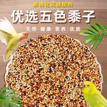 New high-quality five-color millet parrot feed bird food with Shell millet tiger skin peony peony Xuanfeng bird grain 5kg