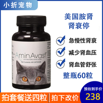  Cat kidney failure Stop amine kidney American AminAvast Cat amine kidney acute and chronic kidney failure 300MG 60 capsules 12 capsules