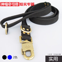 Telescopic nylon dog with traction belt gold wool Haschic Labrador Dog Item Circle suit Large canine traction rope
